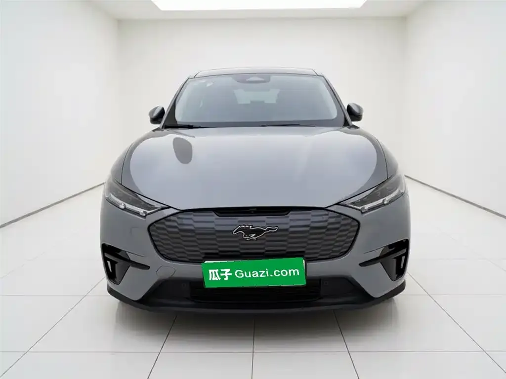 Ford Mustang Mach-E 2022 из CN, фото 2