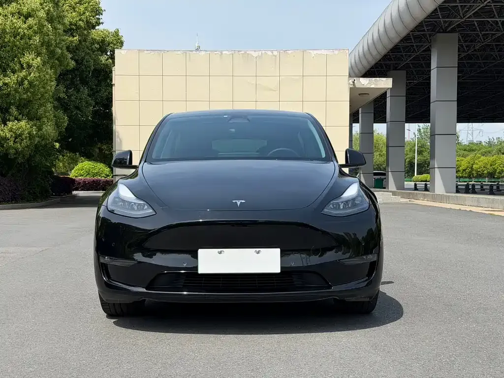 Tesla Model Y — фото 10