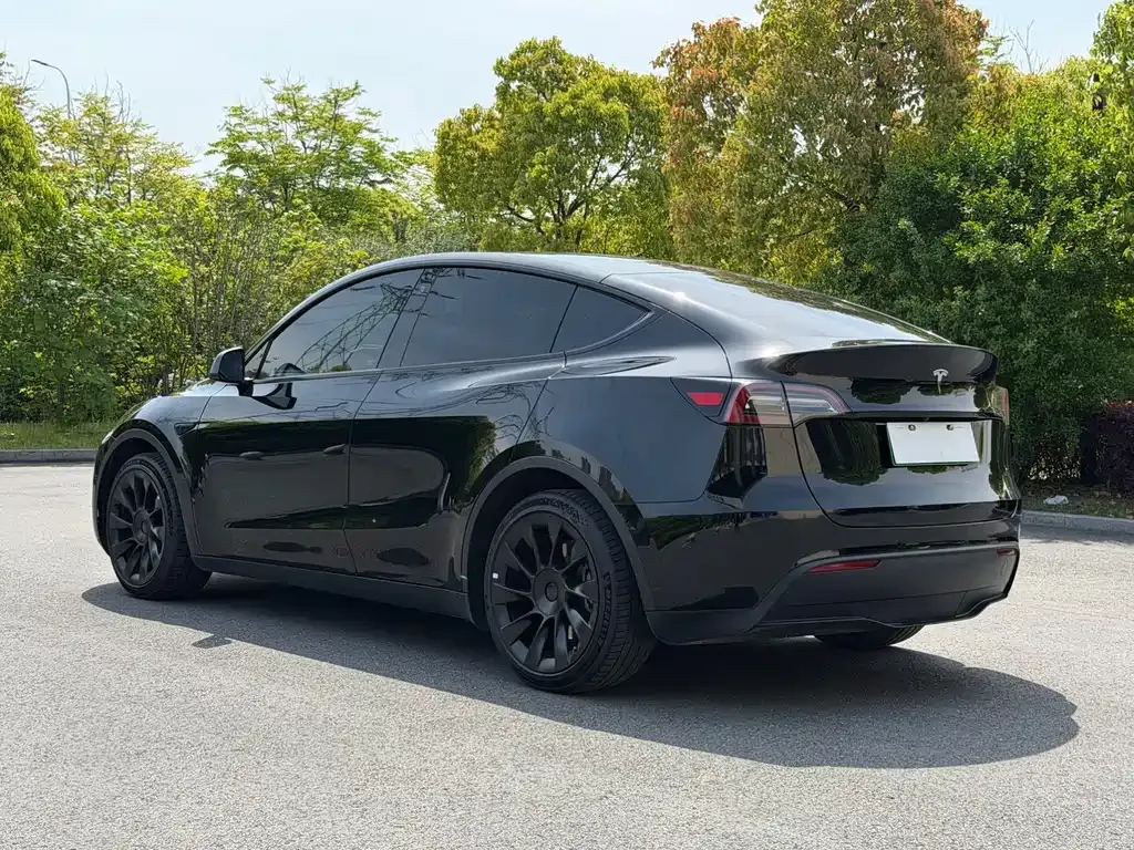 Tesla Model Y — фото 7