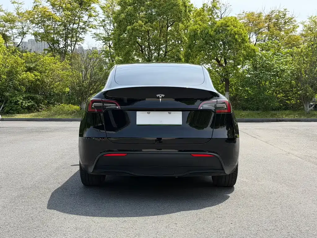 Tesla Model Y — фото 8