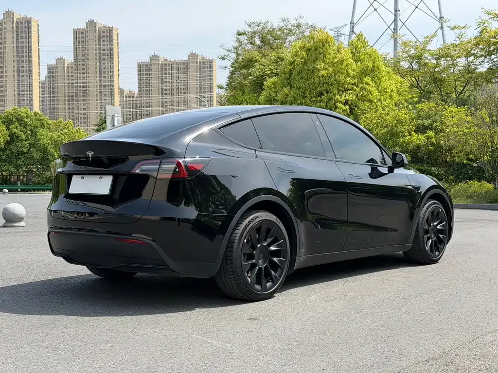 Tesla Model Y — фото 6