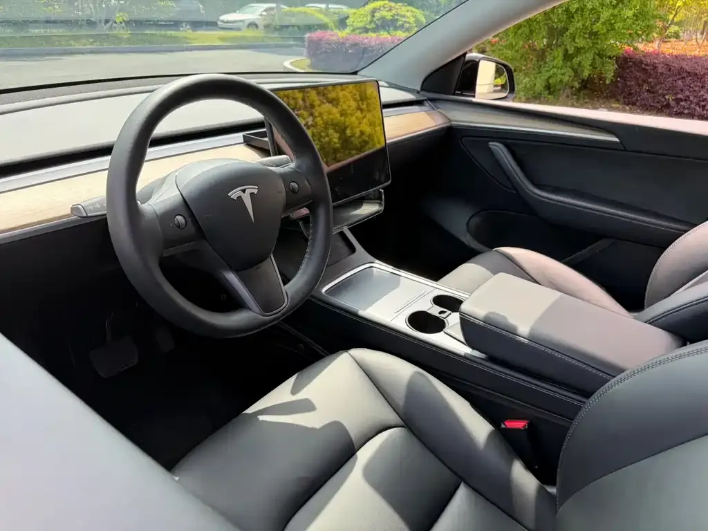 Tesla Model Y — фото 2