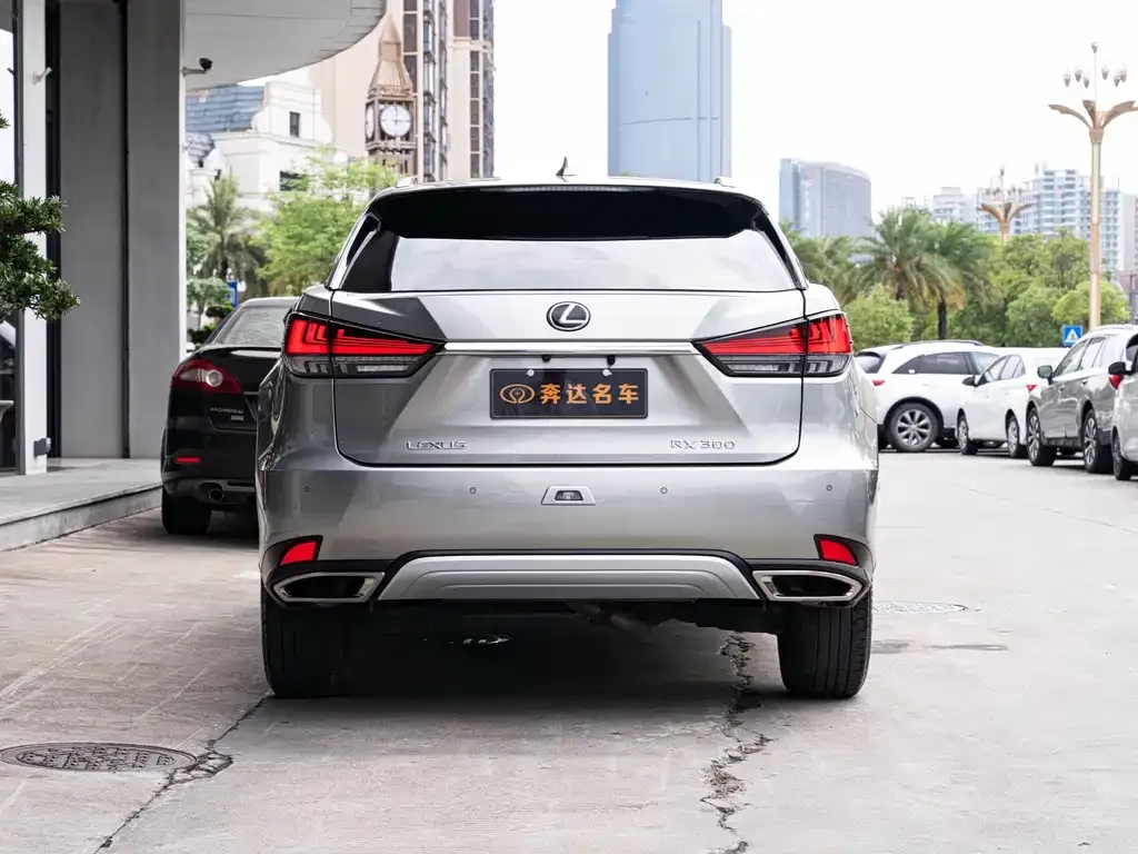 Lexus RX — фото 6
