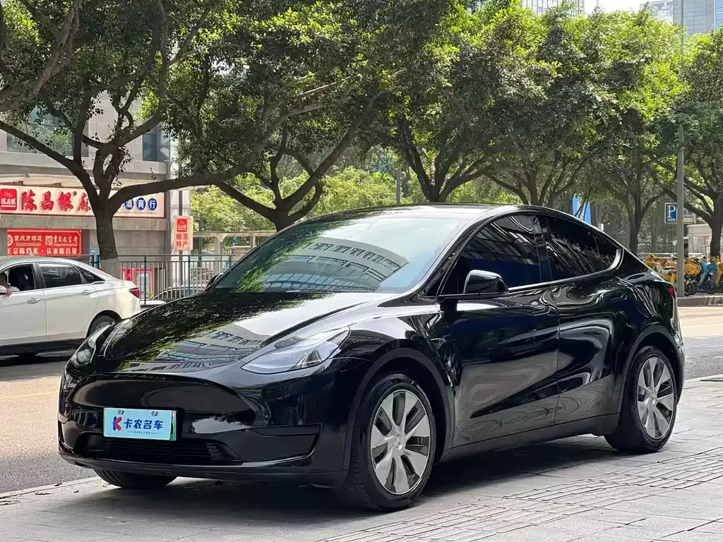 Tesla Model Y — фото 9