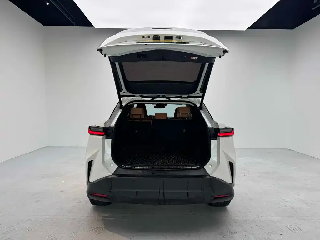 Lexus RZ 2023 из CN, фото 6