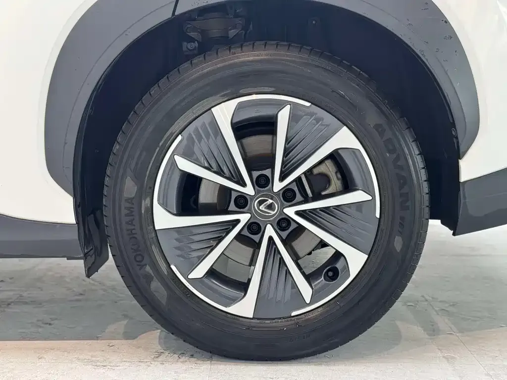 Lexus RZ 2023 из CN, фото 5