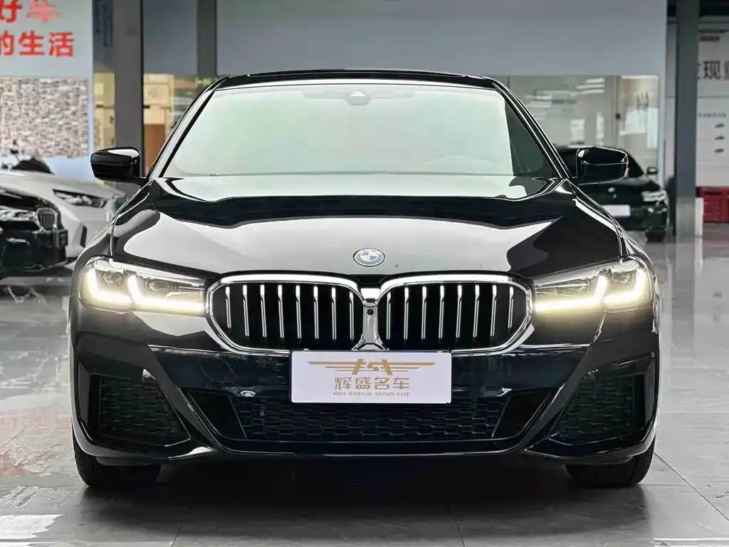 BMW 5 Series 2023 из CN, фото 8