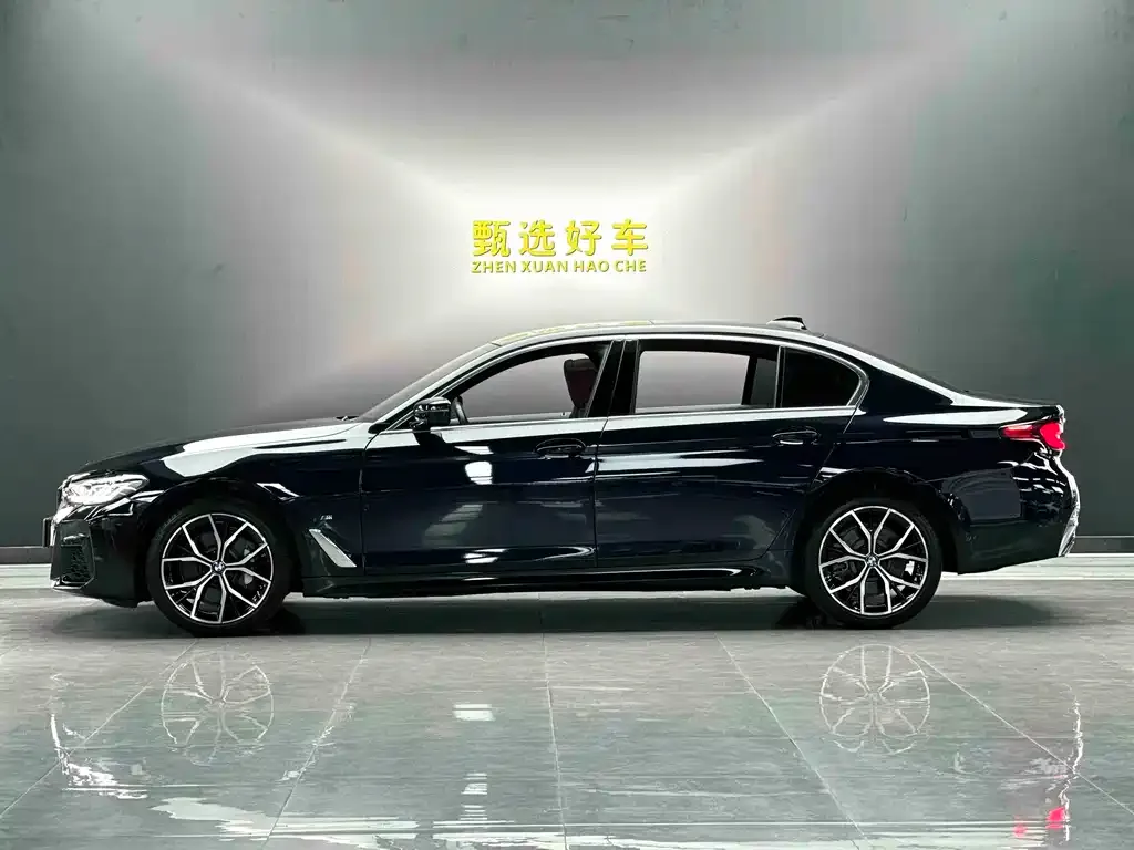 BMW 5 Series 2023 из CN, фото 3