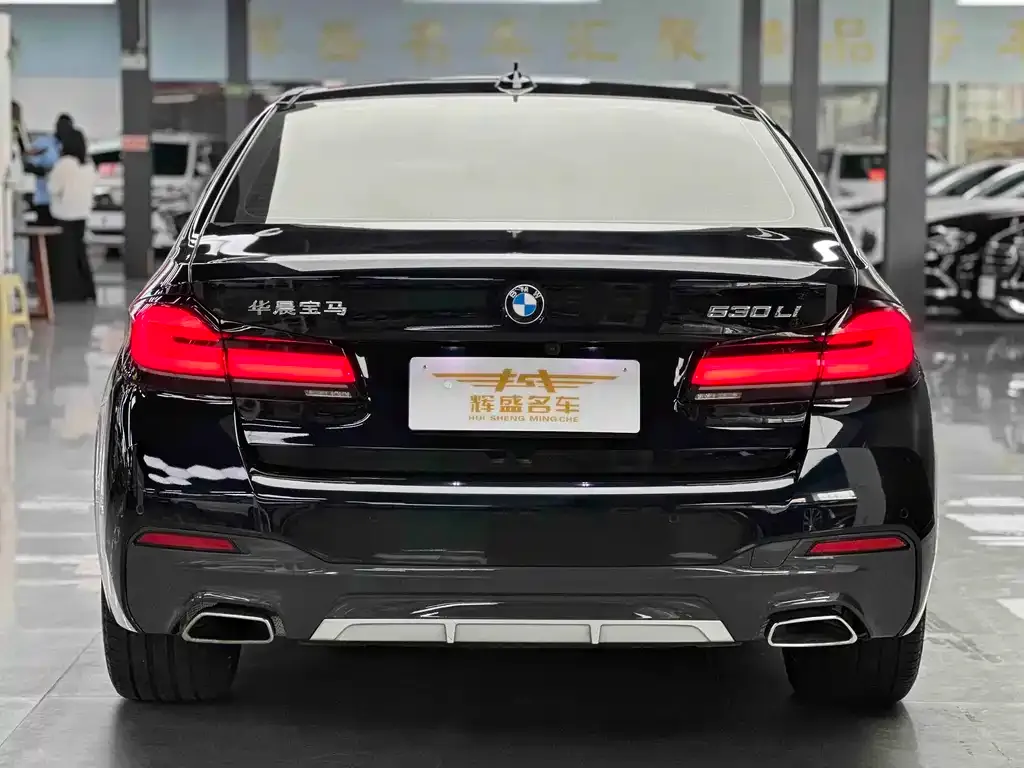 BMW 5 Series 2023 из CN, фото 4