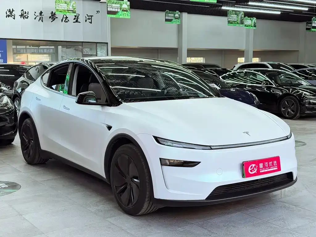 Tesla Model Y — фото 10