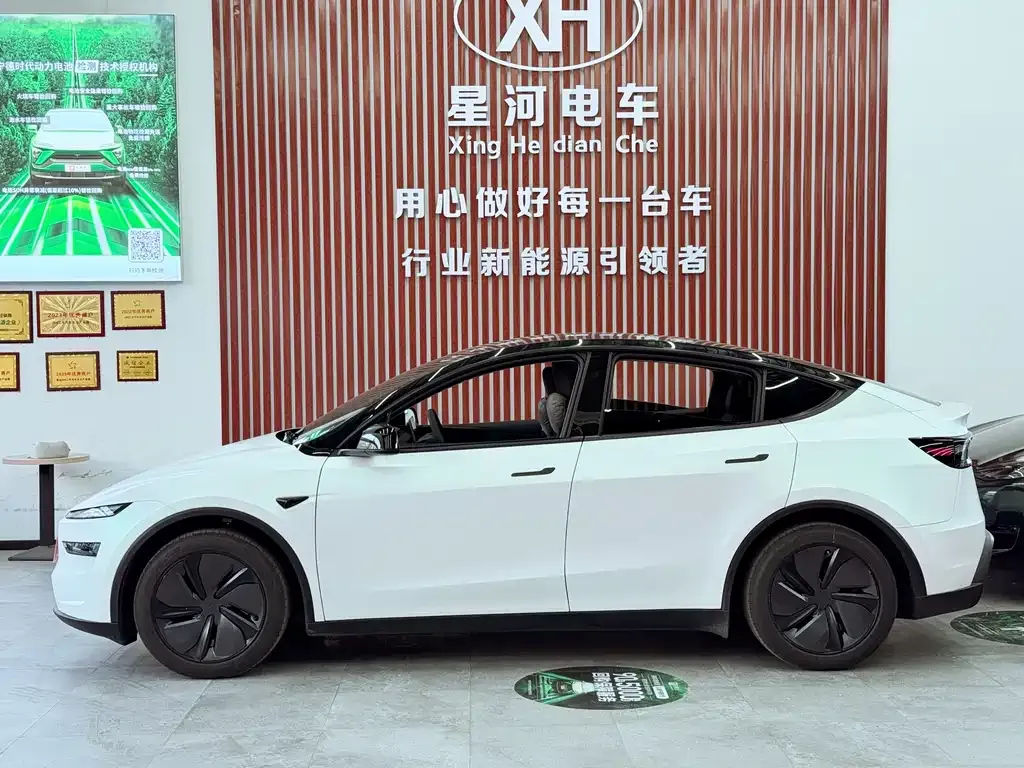 Tesla Model Y — фото 8