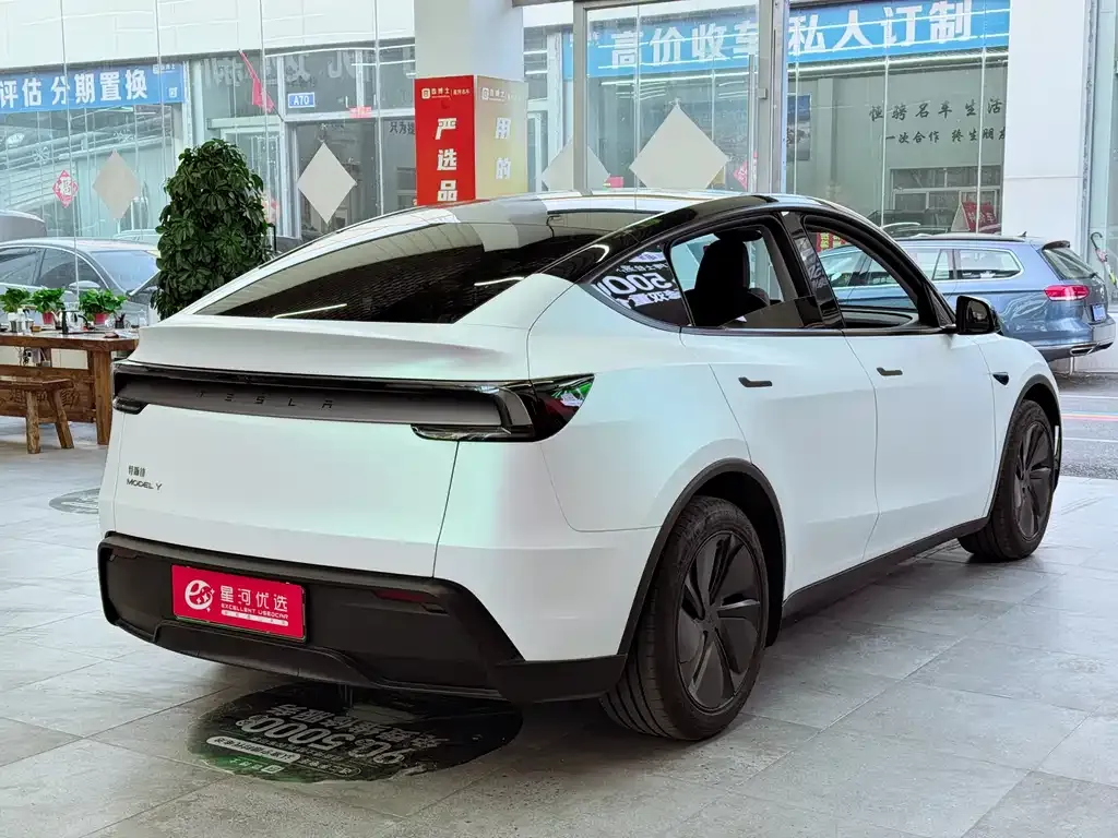 Tesla Model Y — фото 9