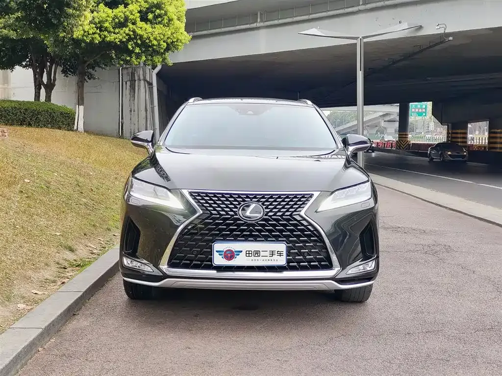 Lexus RX — фото 10