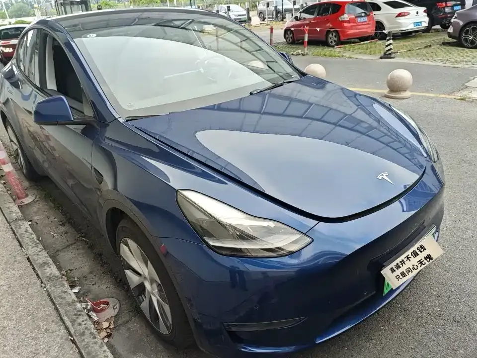 Tesla Model Y — фото 3