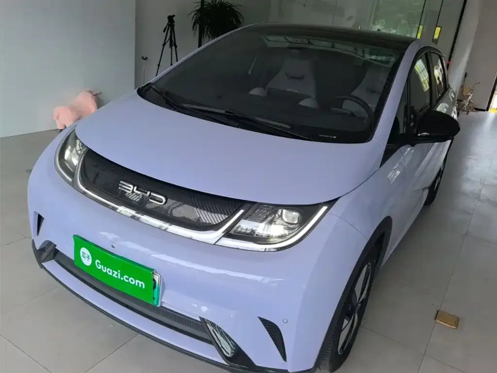 BYD Dolphin