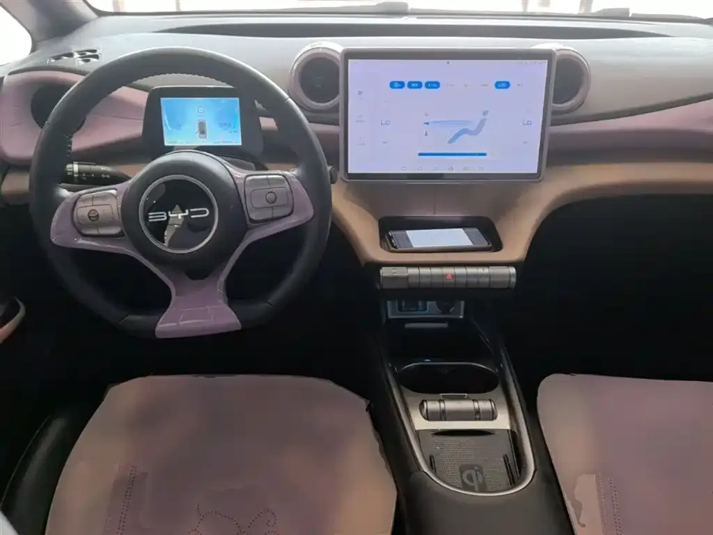 BYD Dolphin 2023 из CN, фото 8