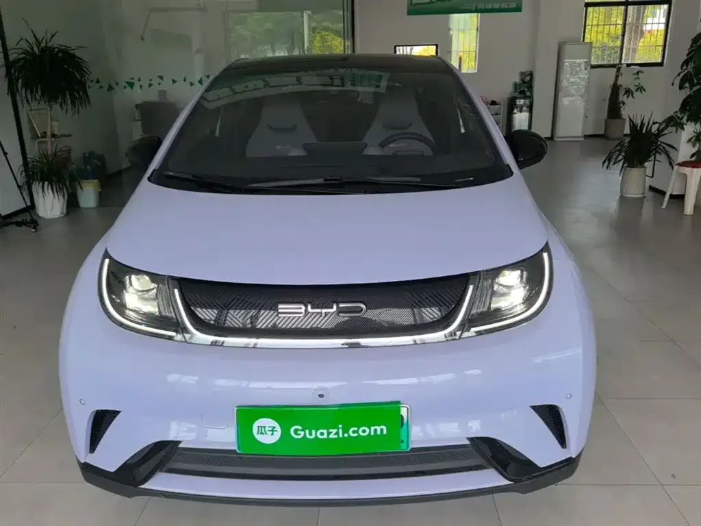 BYD Dolphin 2023 из CN, фото 4