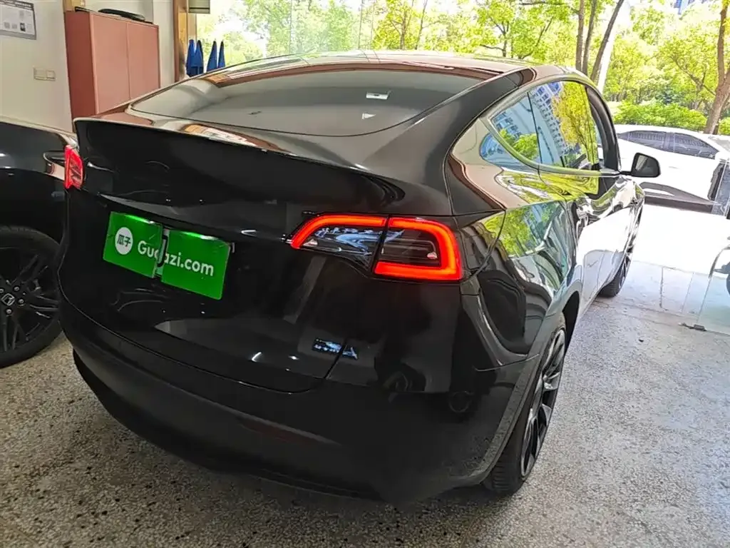 Tesla Model Y — фото 10