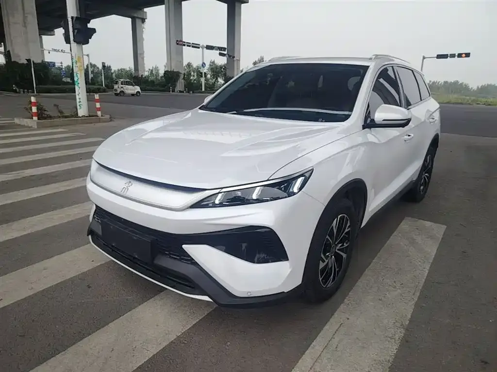 BYD Pro New Energy 2025 из CN, фото 10