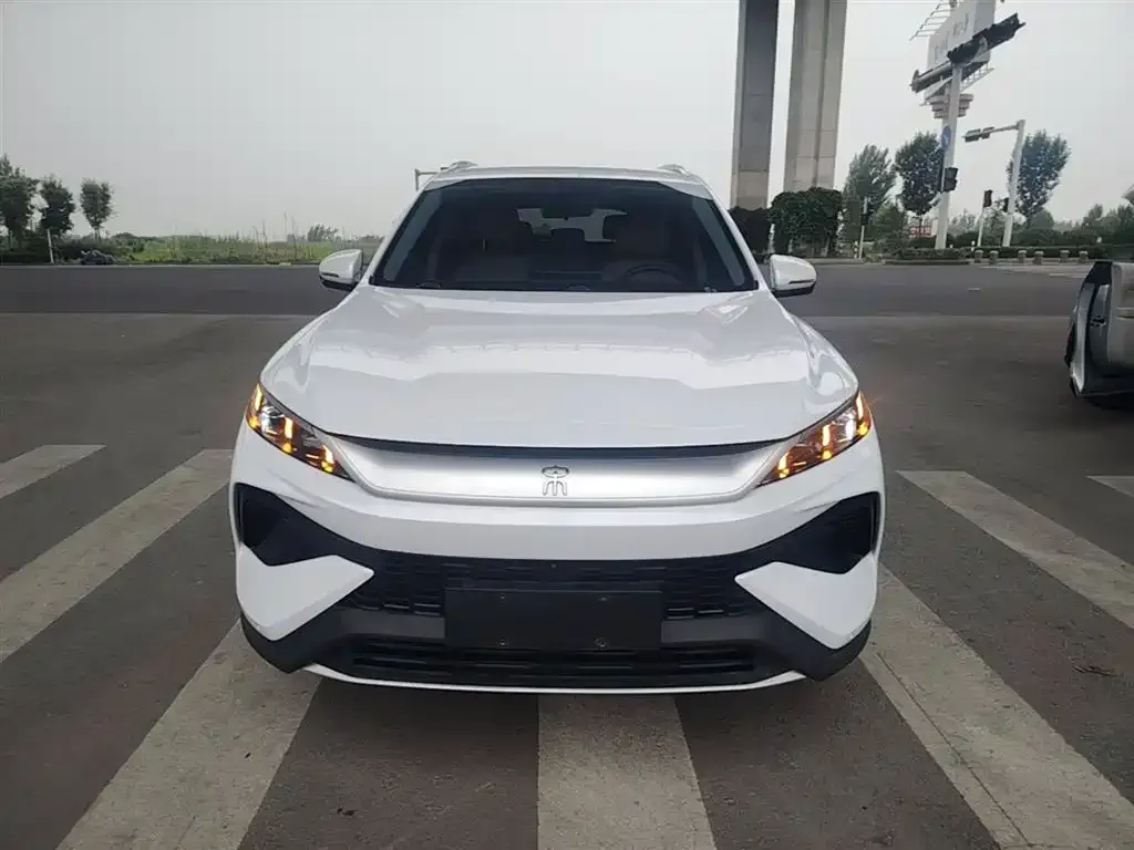 BYD Pro New Energy 2025 из CN, фото 3
