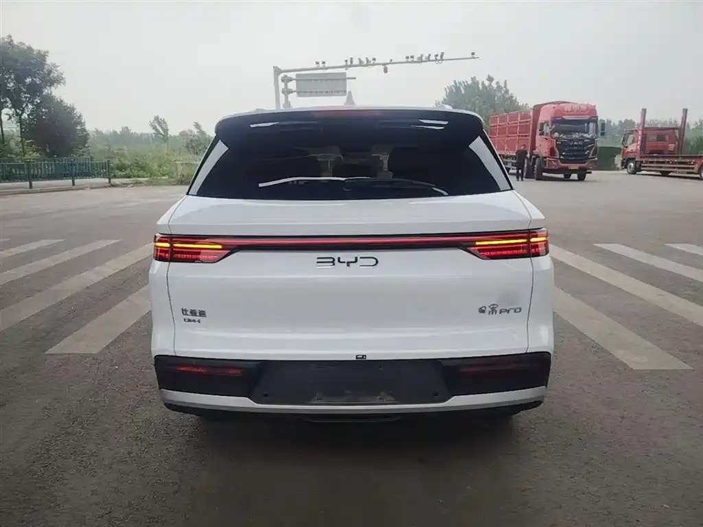 BYD Pro New Energy 2025 из CN, фото 5