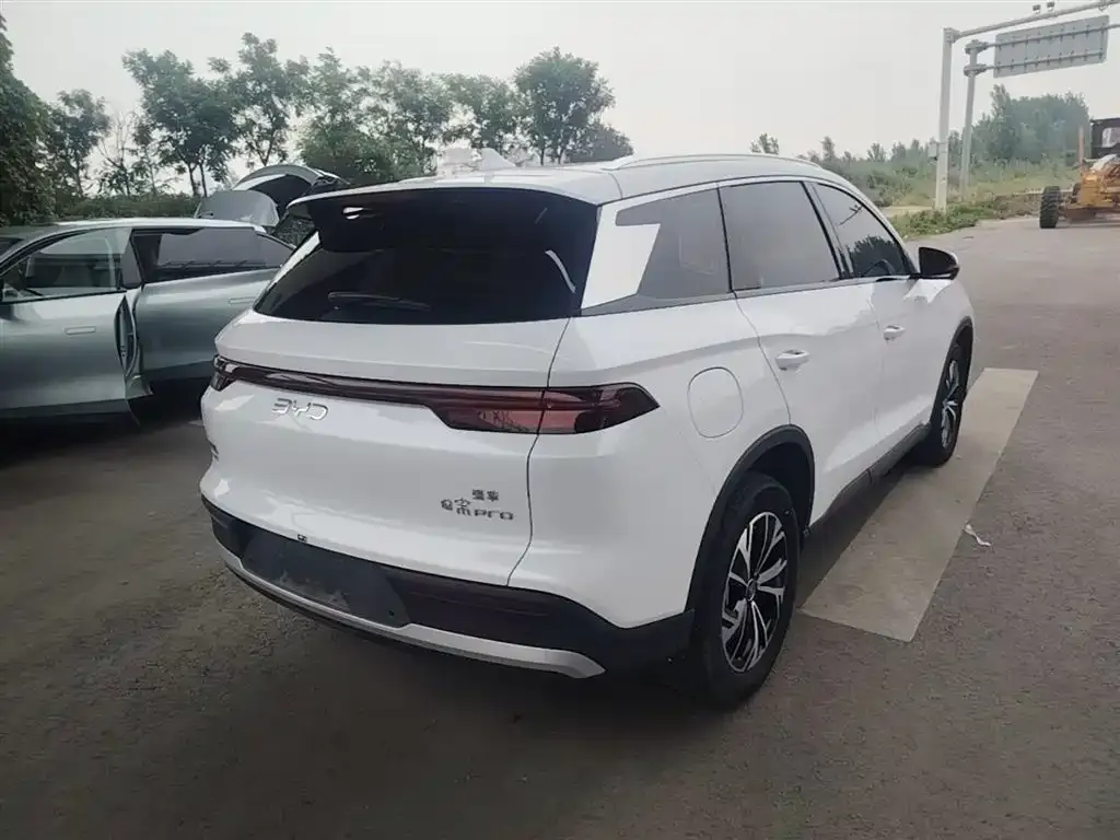 BYD Pro New Energy 2025 из CN, фото 6