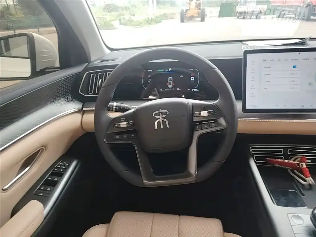 BYD Pro New Energy 2025 из CN, фото 7