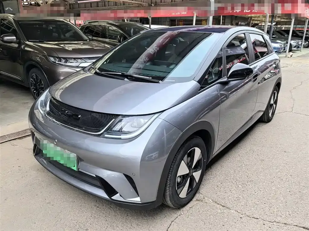 BYD Dolphin