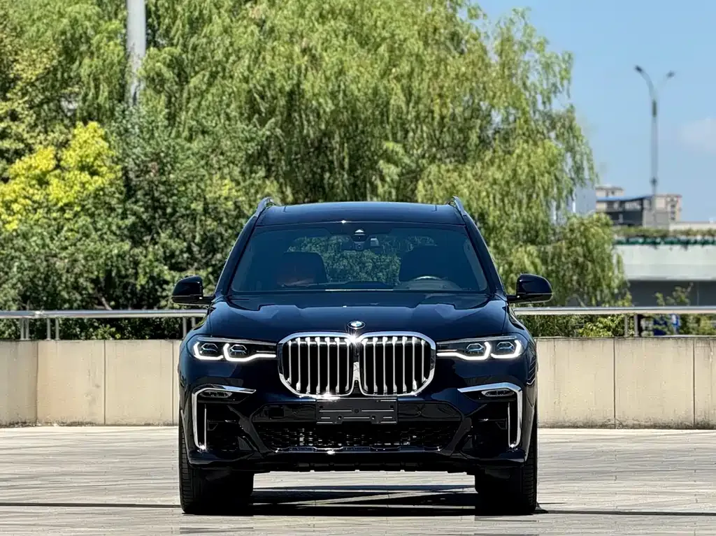 BMW X7 2021 из CN, фото 4