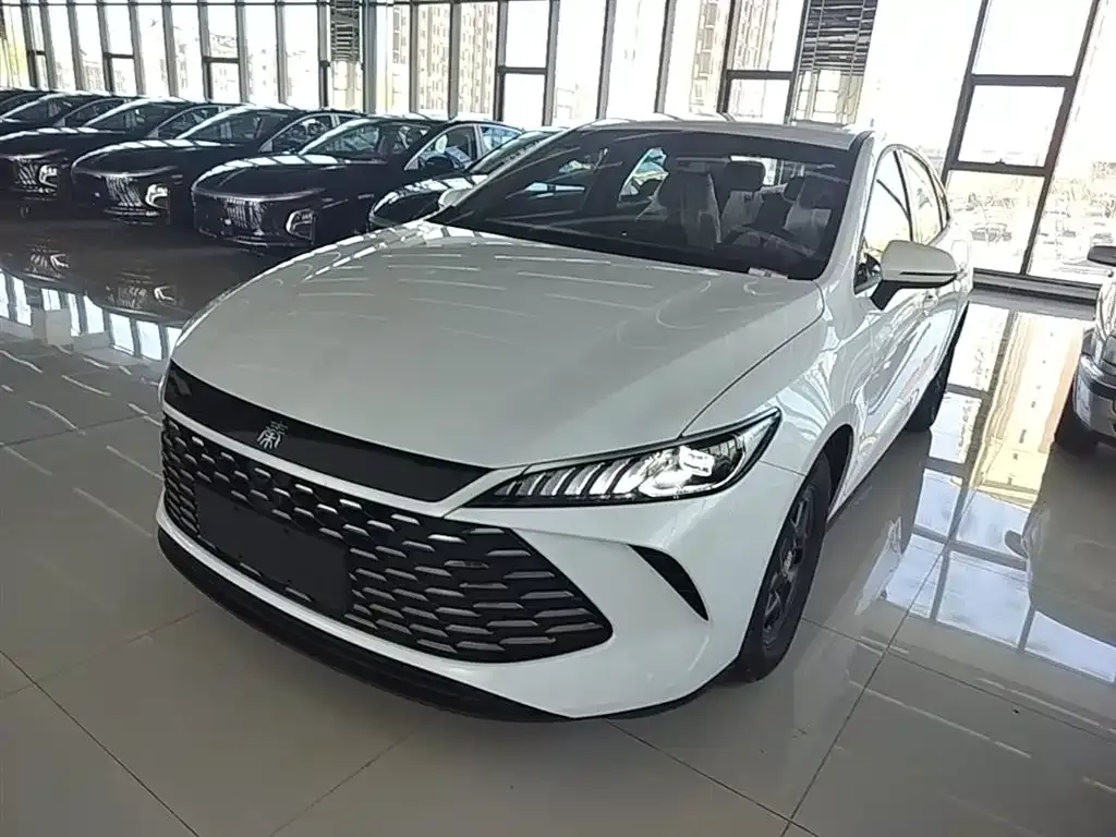 BYD Qin PLUS — фото 7