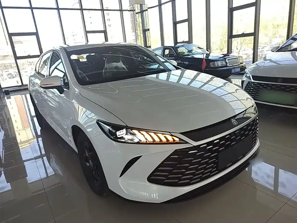 BYD Qin PLUS — фото 10
