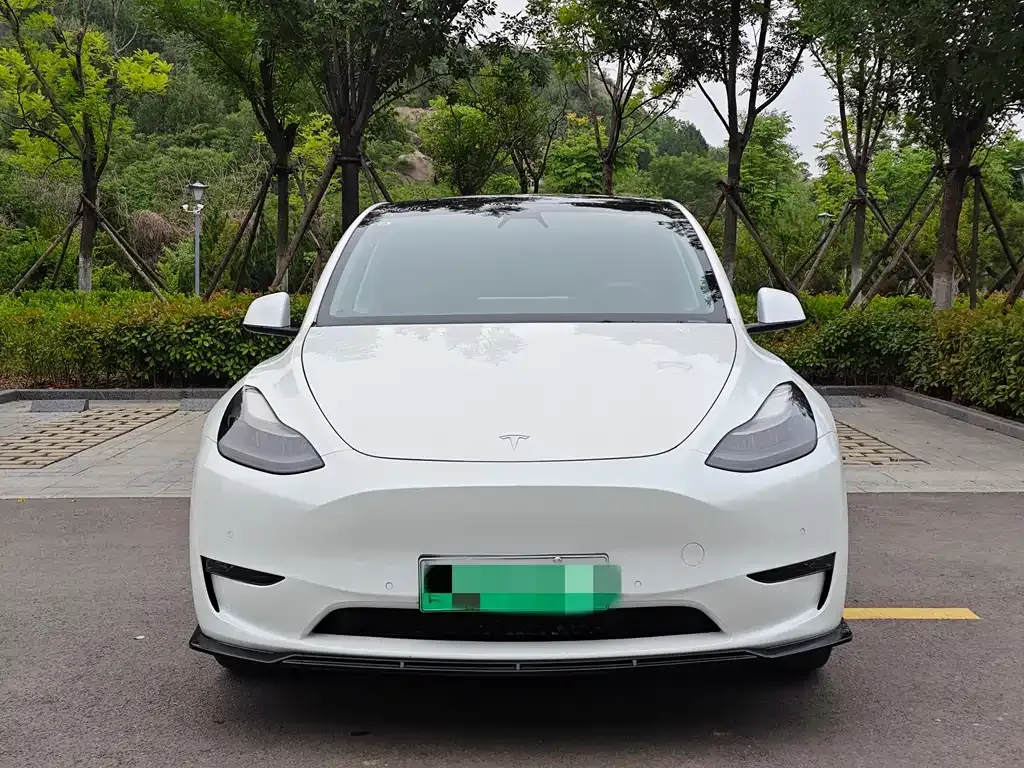 Tesla Model Y — фото 2