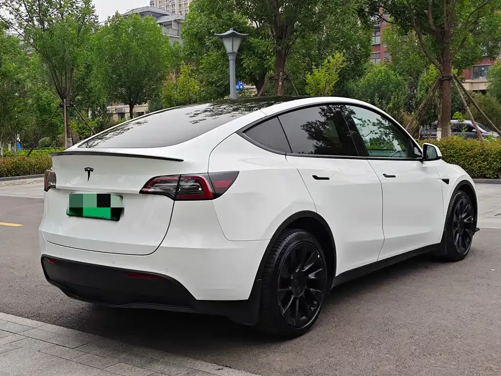 Tesla Model Y — фото 10