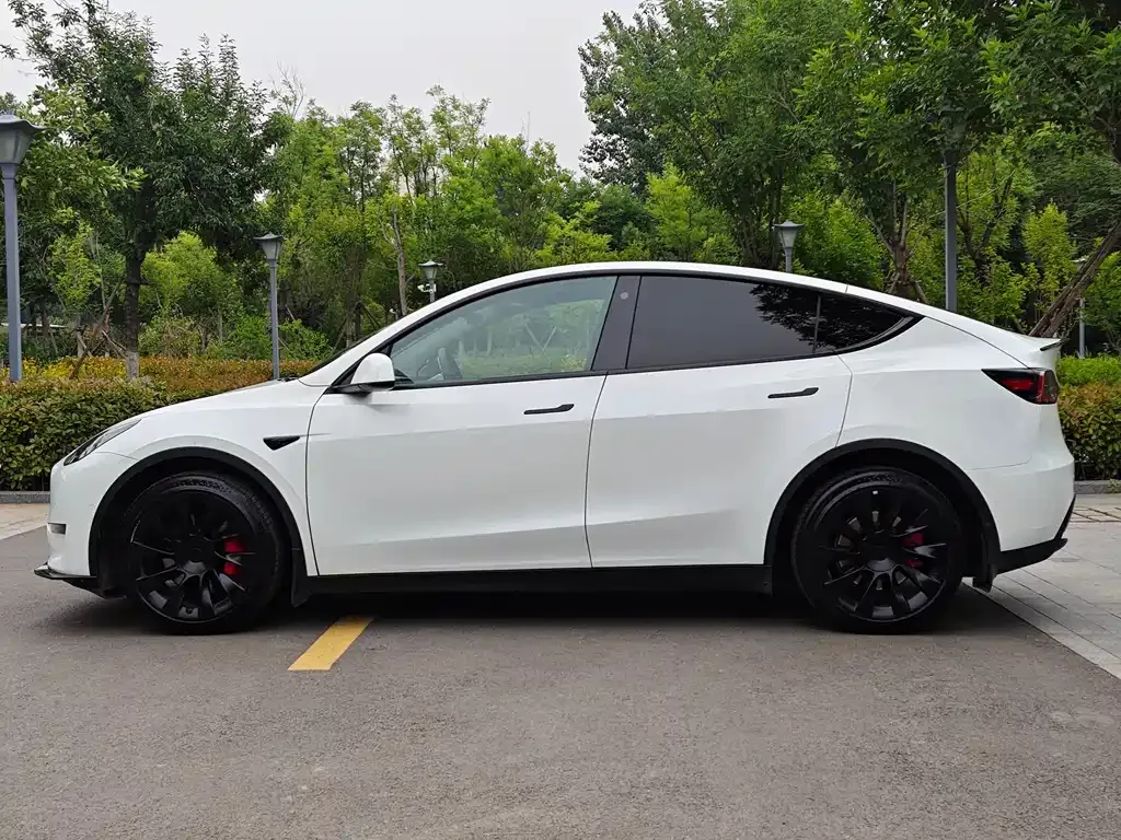 Tesla Model Y — фото 6