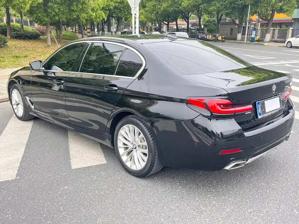 BMW 5 Series 2021 из CN, фото 8