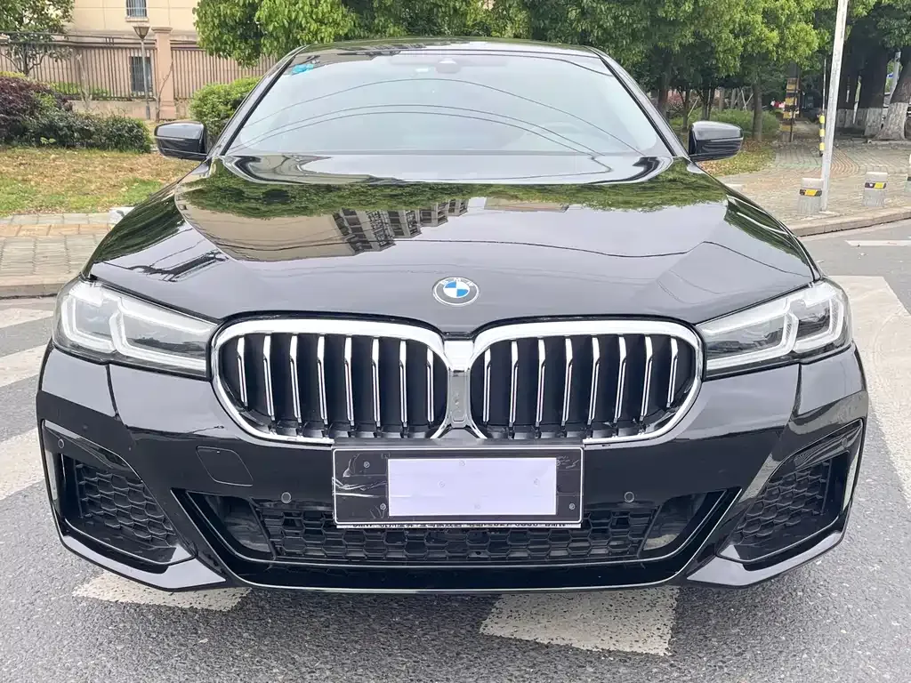 BMW 5 Series 2021 из CN, фото 9