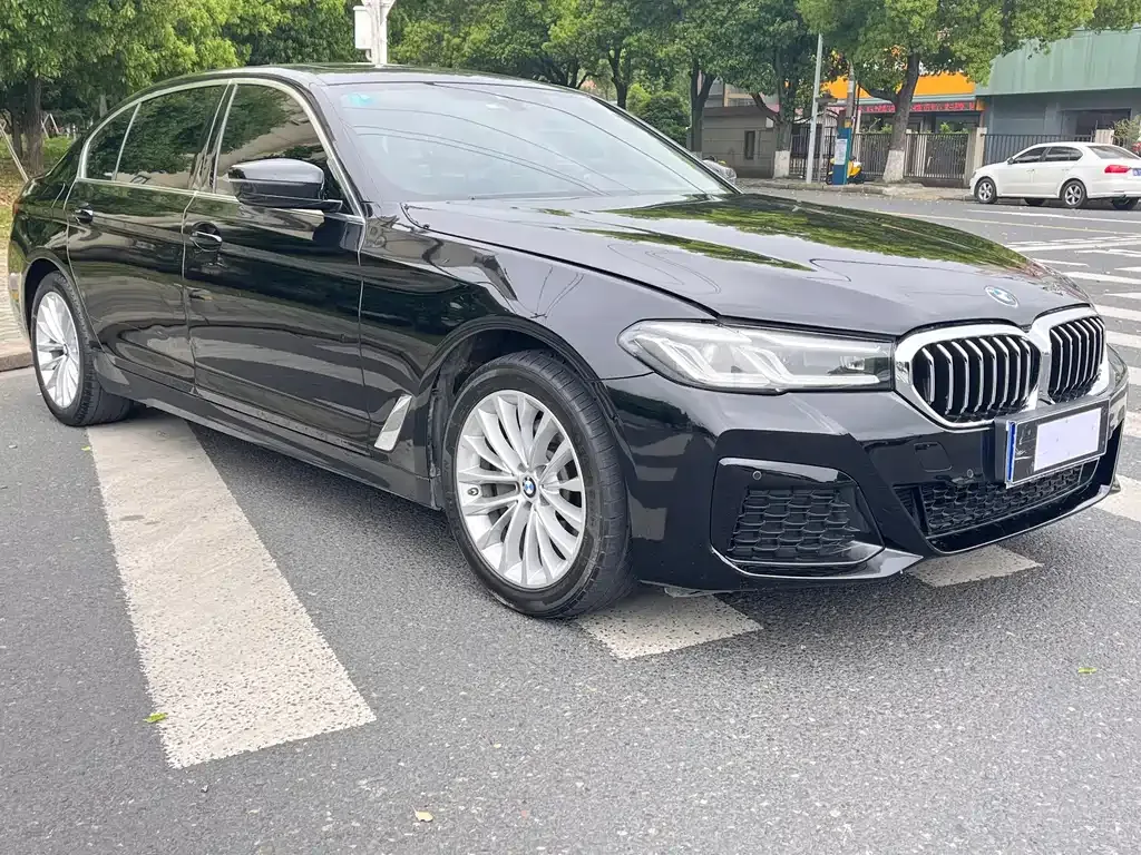 BMW 5 Series 2021 из CN, фото 7
