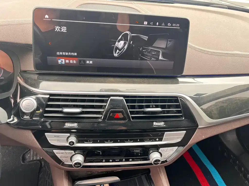 BMW 5 Series 2021 из CN, фото 6