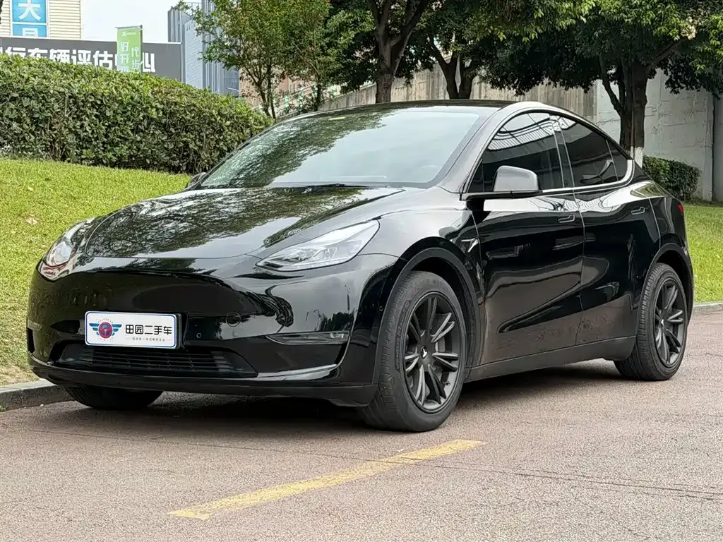 Tesla Model Y — фото 1