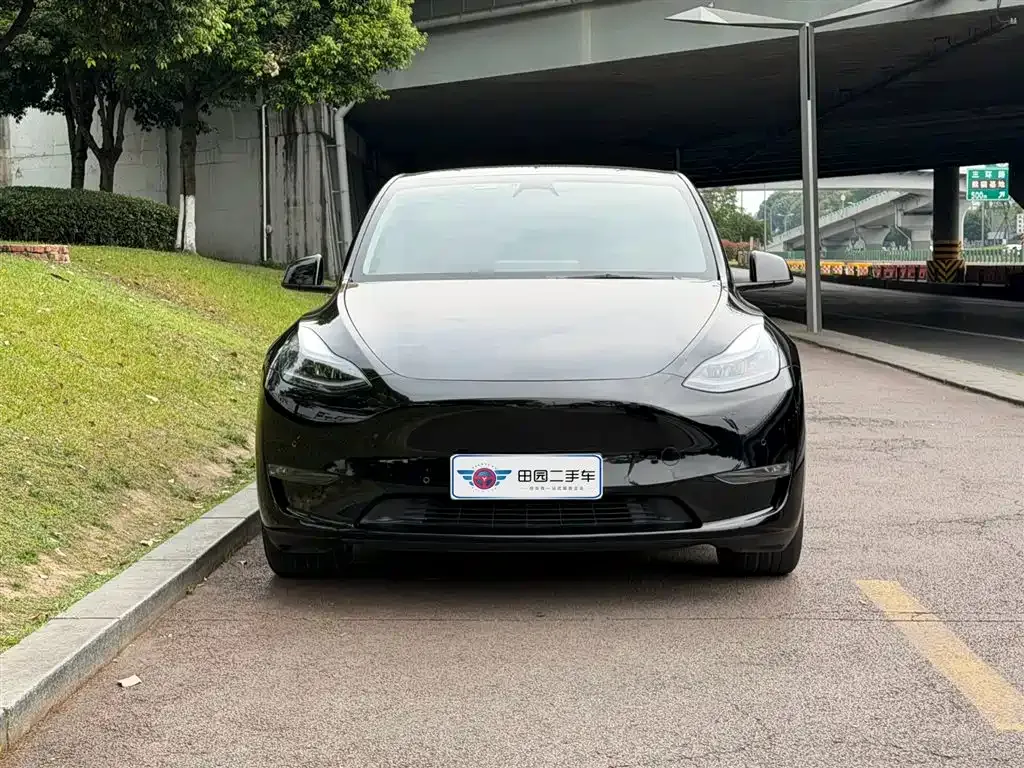 Tesla Model Y — фото 8