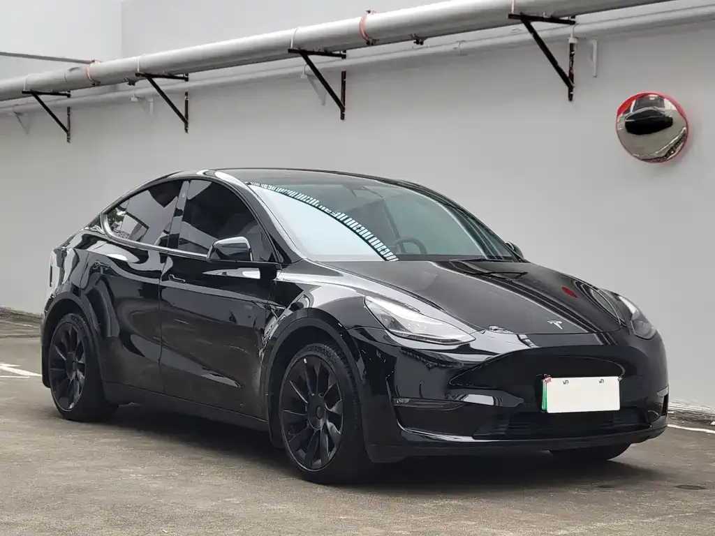 Tesla Model Y — фото 5
