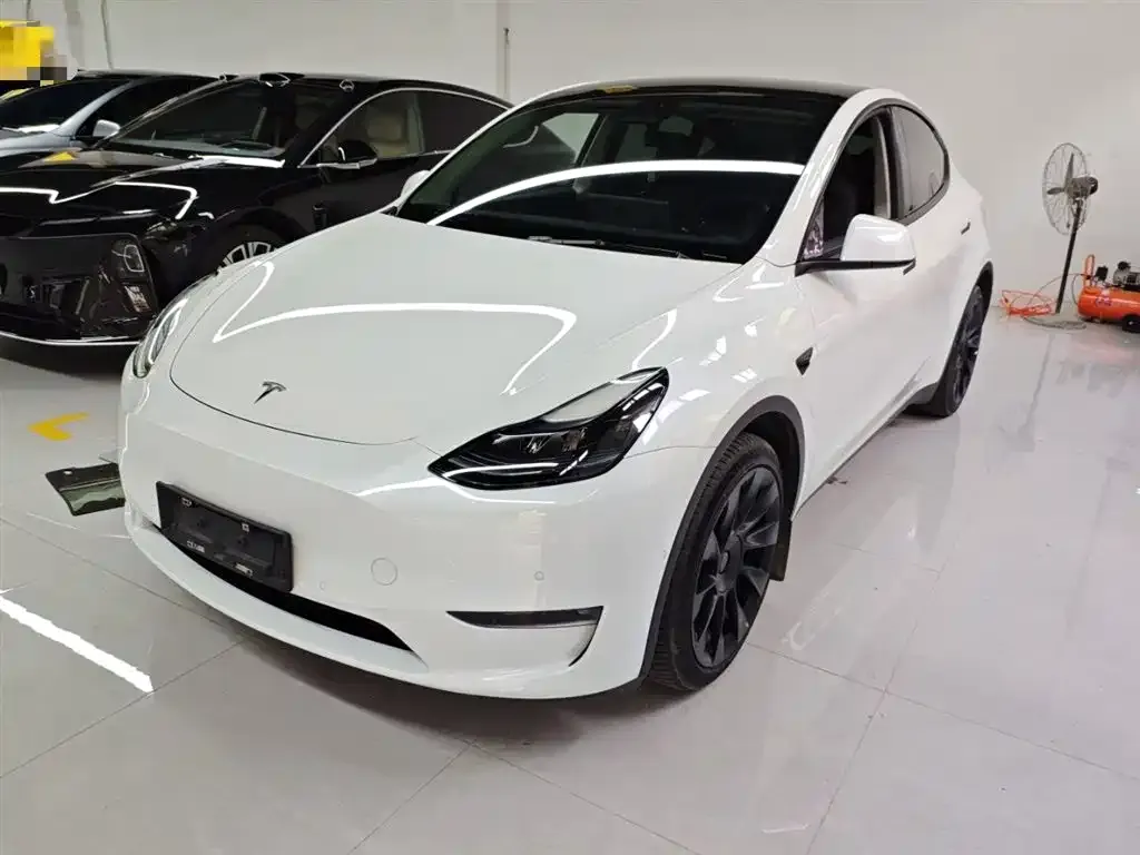 Tesla Model Y — фото 1