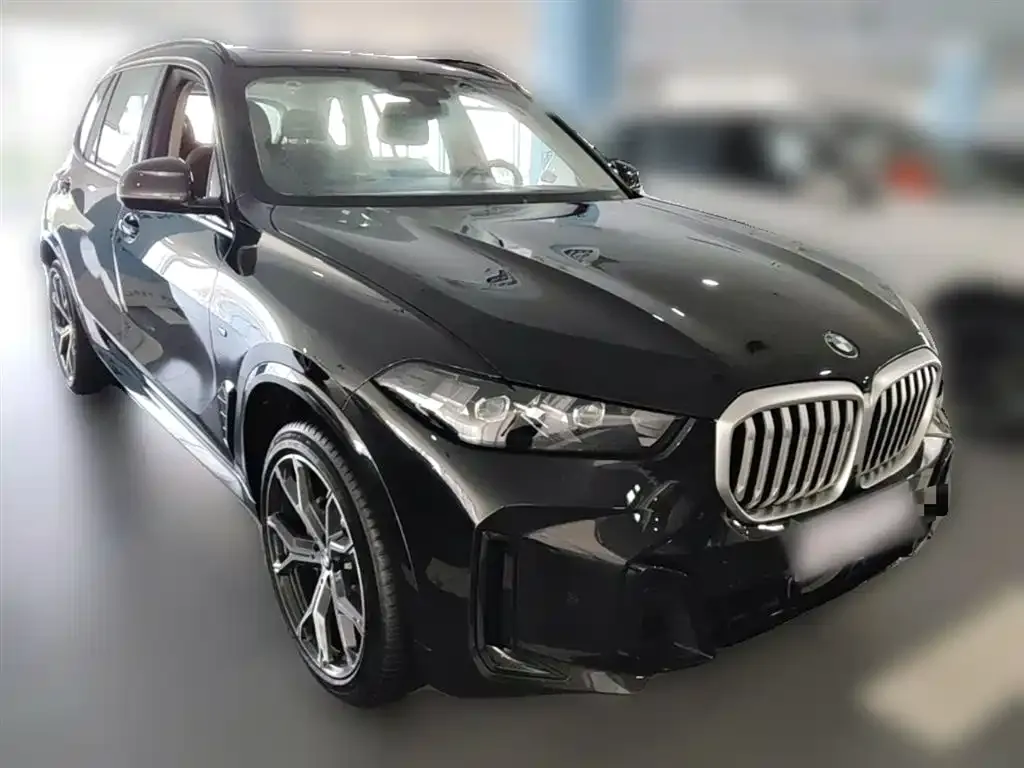 BMW X5 — фото 9