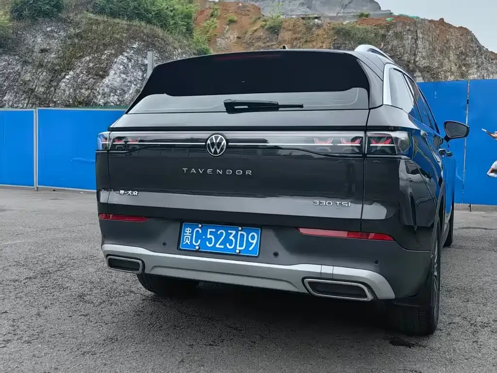 Volkswagen Tavendor 2023 из CN, фото 3