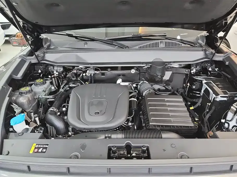Haval Menglong New Energy 2024 из CN, фото 9