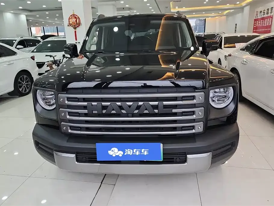 Haval Menglong New Energy 2024 из CN, фото 3