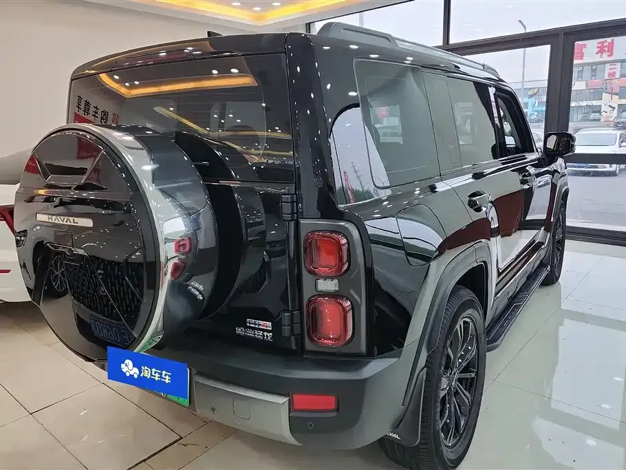 Haval Menglong New Energy 2024 из CN, фото 10