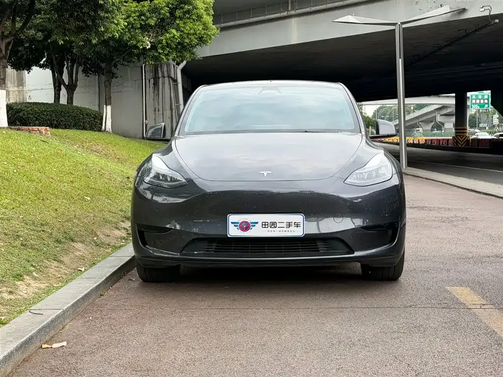 Tesla Model Y — фото 8