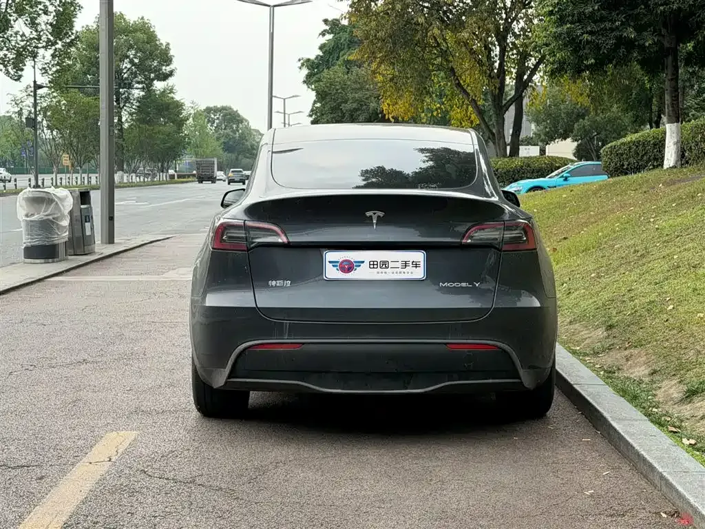 Tesla Model Y — фото 10