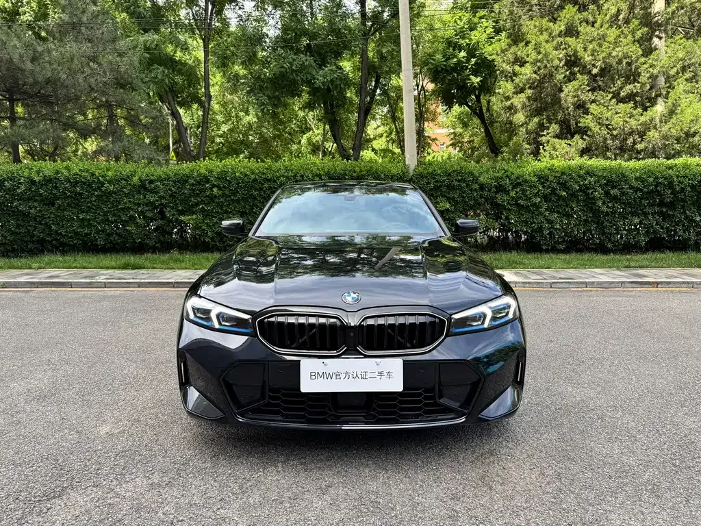 BMW 3 Series 2024 из CN, фото 6